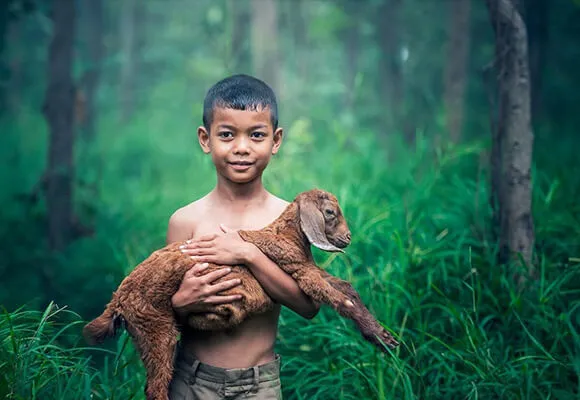 Environmental Considerations of Leather Materials Environmental Considerations of Leather Materials