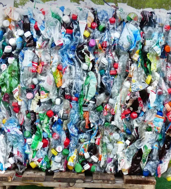 Using recyclable bottles to avoid micro-plastic around the world. Using recyclable bottles to avoid micro-plastic around the world.