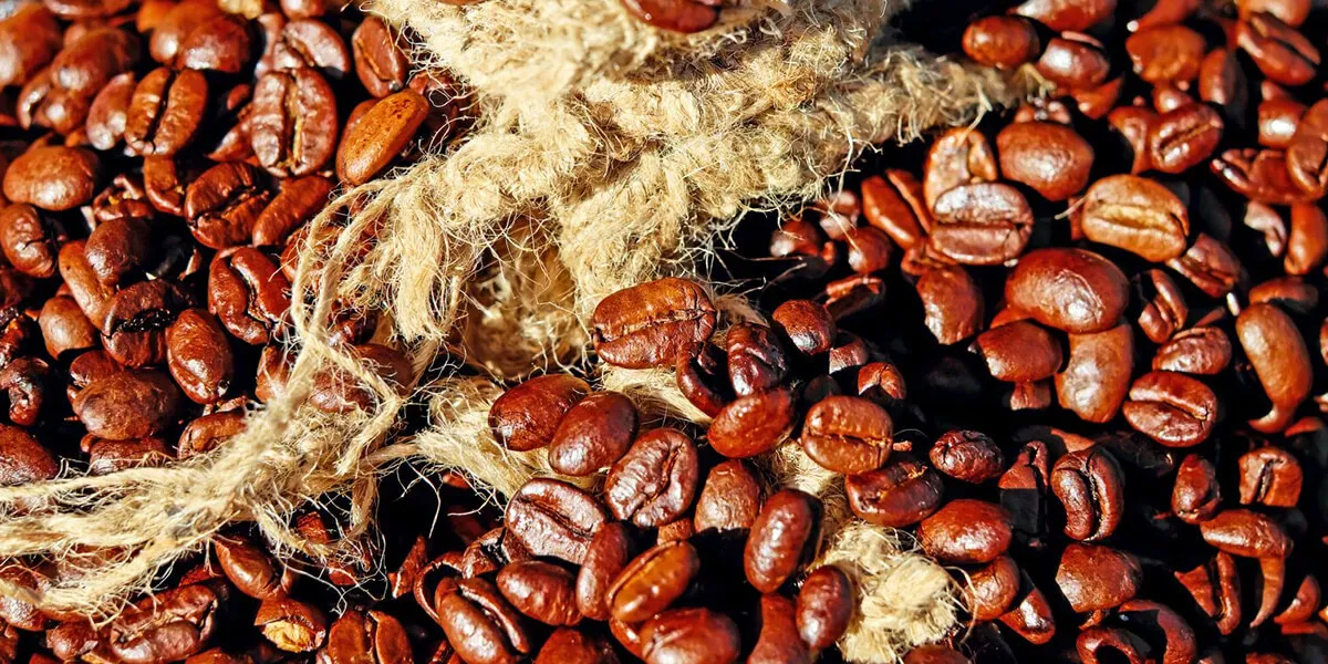 Coffee grounds can be the material of polyester Coffee grounds can be the material of polyester