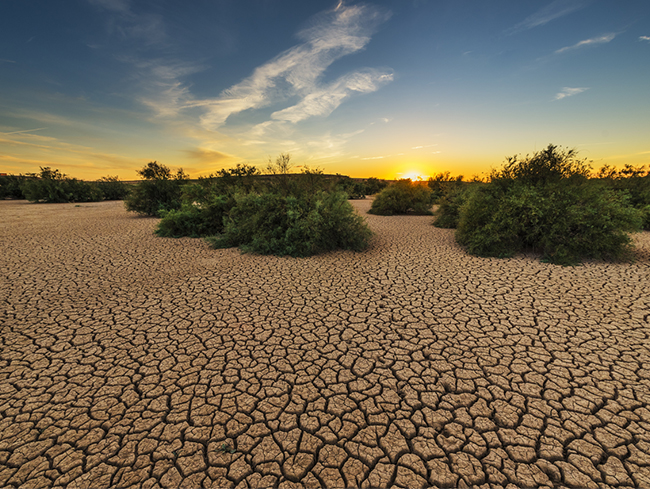 Environmental Protection