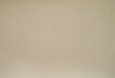 ZAK SERIES TIMEWELL SILICONE LEATHER