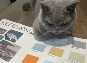 What are the Differences Between Silicone Leather and PU/PVC